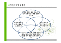 신제도이론 레포트-17