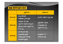 세계의 해저터널 현황과 활용방안-8