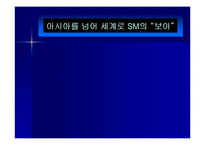 sm 보아 마케팅 전략-1