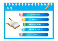 [생산관리] 삼성SDI SAP ERP 성공사례-2