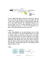 바이오 에너지 레포트-6