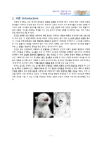 동물의 행동을 바탕으로 하는 인간 사회에서 효율적인 의사 결정 방법-2
