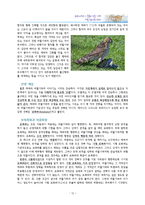 동물의 행동을 바탕으로 하는 인간 사회에서 효율적인 의사 결정 방법-11