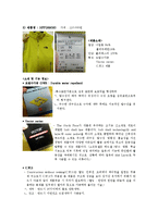 [패션소재] 노스페이스 The North Face-8