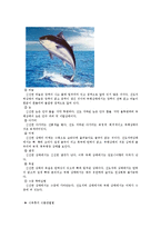 유통기한(shelf-life) 문제점 해결방안-4