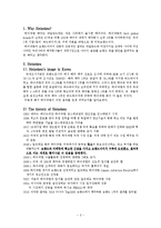 [소비자행동론] 하이네켄 글로벌 브랜드 창출방안-2