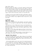 [소비자행동론] 하이네켄 글로벌 브랜드 창출방안-4