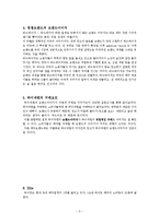 [소비자행동론] 하이네켄 글로벌 브랜드 창출방안-5