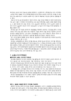[소비자행동론] 하이네켄 글로벌 브랜드 창출방안-6