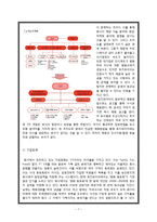 [경영학원론] 웹 에이전시 `퓨즈 와이어` 기업 운영 사례-7