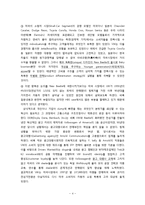 [마케팅전략] 미국시장 폭스바겐 뉴비틀 성공전략-5