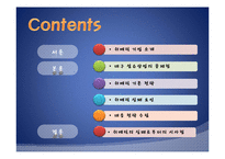 [국제경영] 전략 제휴 실패 사례-쉬메릭-2