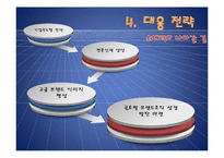 [국제경영] 전략 제휴 실패 사례-쉬메릭-9