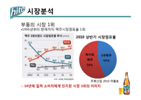 [광고학] 하이트 맥주 크리에이트 광고전략-5
