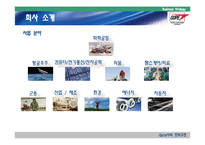 [경영전략] 고어Gore사의 조직구조-4