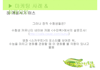 [마케팅] 영화 `스카우트`와 `불꽃처럼 나비처럼` 마케팅 실패사례와 대안방안-11
