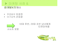 [마케팅] 영화 `스카우트`와 `불꽃처럼 나비처럼` 마케팅 실패사례와 대안방안-13