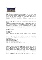 [전통문화] 한국 민속과 우리문학-전통놀이 중심으로-8