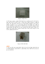 [공학] 해수담수화 실험-전기투석법-4