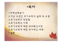 [교육사회] 조기 유학에 대한 교육사회학적 분석-2