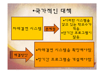 [교육사회] 조기 유학에 대한 교육사회학적 분석-12