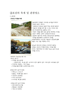 포천의 다양한 축제 활성화 전략-5