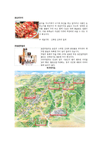 포천의 다양한 축제 활성화 전략-13