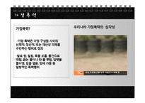 가정폭력 유형별 개념, 영향 및 사례와 해결방안-5