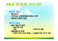 [현대사회와법] 결혼과 이혼-3