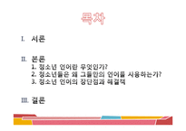 [청소년문화] 청소년 언어 문화-2
