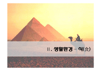[국제화시대의매너] 이집트의 생활과 매너-17
