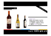 [정치문화] 카톨릭적 문화와 정치체재(칠레의 사례를 중심으로)-3