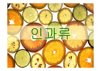 [식품재료학] 과일의 분류-3