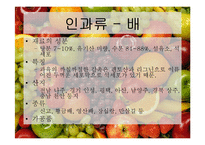[식품재료학] 과일의 분류-6