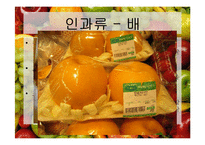 [식품재료학] 과일의 분류-7
