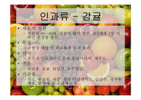 [식품재료학] 과일의 분류-10