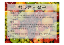 [식품재료학] 과일의 분류-18