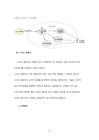 온라인 & 오프라인 BIZ 모델 분석 및 설계-16