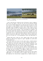 [여가산업론] 경마의 이해와 경마 산업의 문제점과 개선방안-18