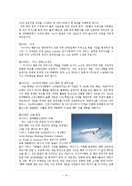 [마케팅원론] 서비스업 마케팅 성공 사례-금호아시아나-10