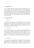 [경영학] 쉭앤칙 CHIC AND CHICK의 유통관리 사례-3