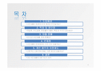 [시장경제] 서민대출 현황, 문제점과 해결방안-2