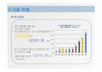 [시장경제] 서민대출 현황, 문제점과 해결방안-10