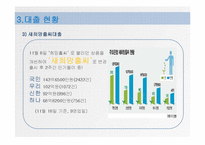 [시장경제] 서민대출 현황, 문제점과 해결방안-11
