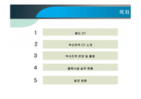 [무역물류] 부산진역 CY의 활용과 발전방향-2