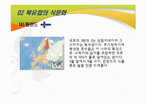 [국제문화] 북유럽의 음식 문화-9