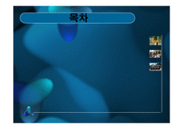 [노인복지론] 노인일자리사업-시니어클럽 중심으로-2