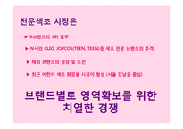 13~18세를 위한 색조화장품 브랜드 커뮤니케이션 전략(Brand Communation Strategy)-3