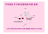 13~18세를 위한 색조화장품 브랜드 커뮤니케이션 전략(Brand Communation Strategy)-8