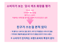 13~18세를 위한 색조화장품 브랜드 커뮤니케이션 전략(Brand Communation Strategy)-12